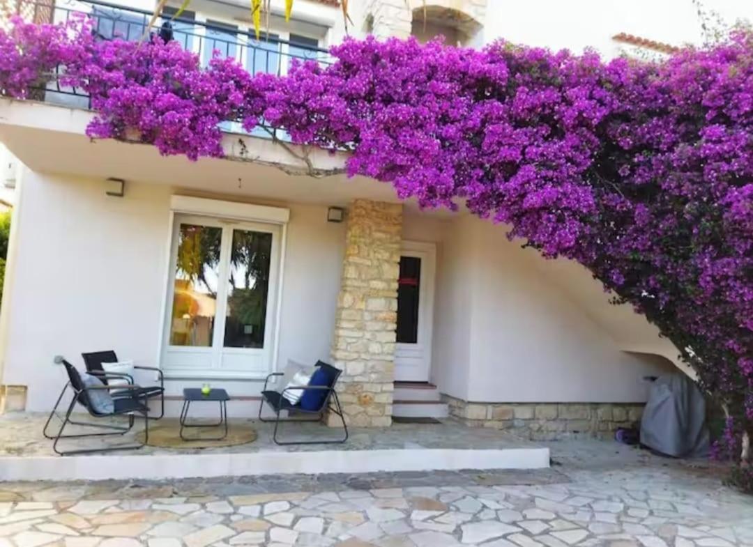 Bougainvilliers *